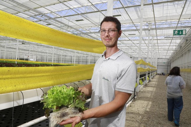 Od rastlinjaka do regije: kako lokalna hrana postaja velika industrija