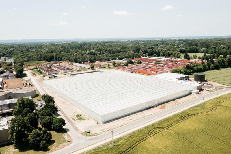 Od rastlinjaka do regije: kako lokalna hrana postaja velika industrija