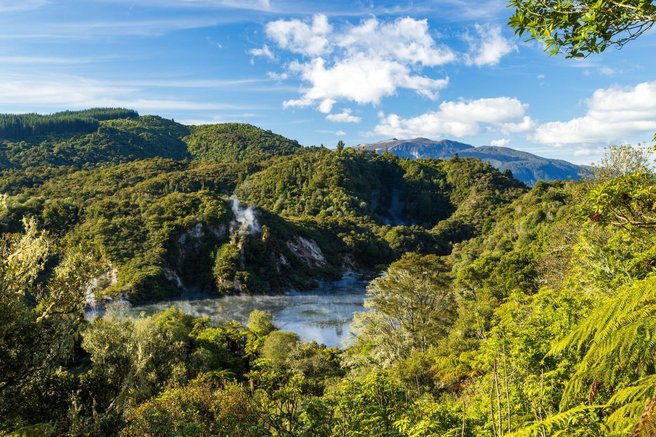 gozd jama nova zelandija fosili zivali ostanki preteklost zgodovina najdba odkritje zacudenje