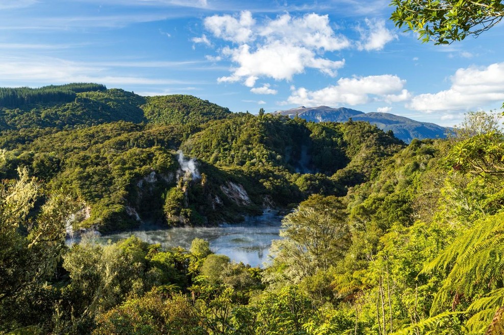 Znanstveniki vstopili v milijon let staro jamo in popadali po tleh: vse, kar so mislili, da vedo, je zdaj postavljeno na glavo (foto: gozd jama nova zelandija fosili zivali ostanki preteklost zgodovina najdba odkritje zacudenje)