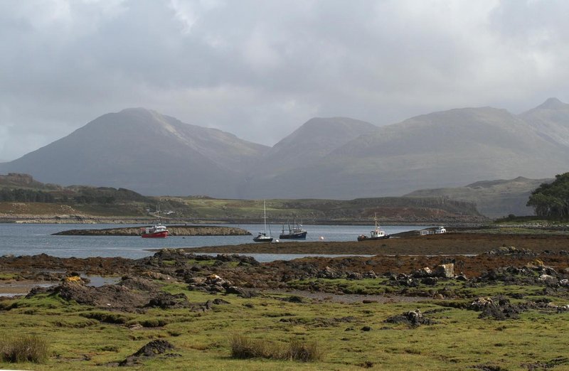 Ulva
