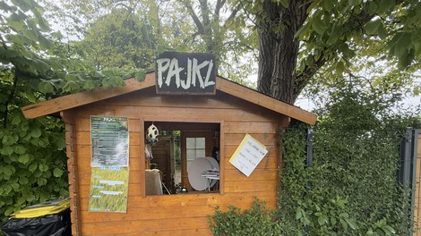 Pajkl, Koseze