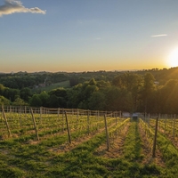 vinogradi slovenija narava skodljivec skropljenje navodilo drzava tezava odlocba inspekcija