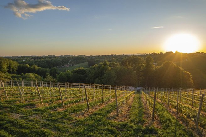 vinogradi slovenija narava skodljivec skropljenje navodilo drzava tezava odlocba inspekcija