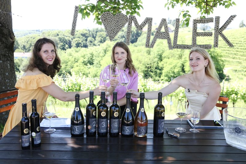 Darija Peček Puklavec Family Wines Simona Česen podkast vino Iz trte izlito