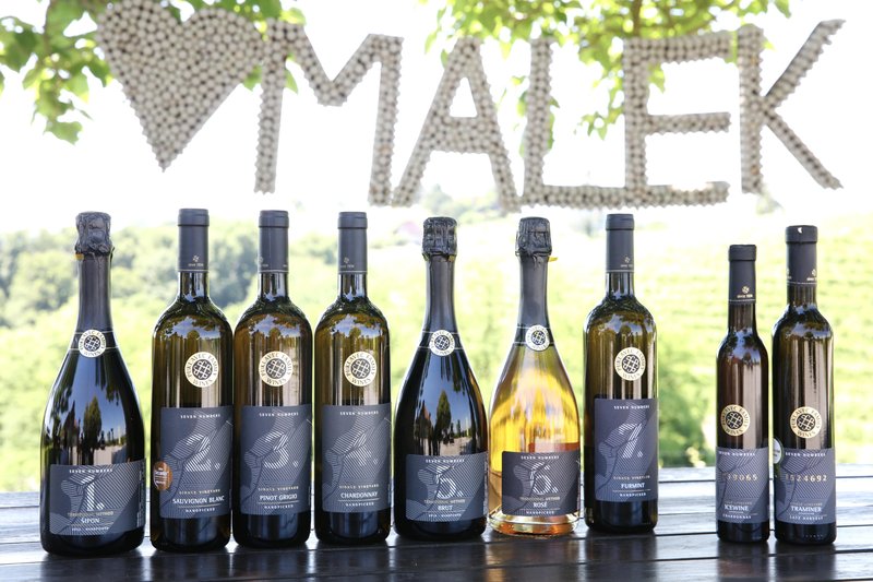 Darija Peček Puklavec Family Wines Simona Česen podkast vino Iz trte izlito