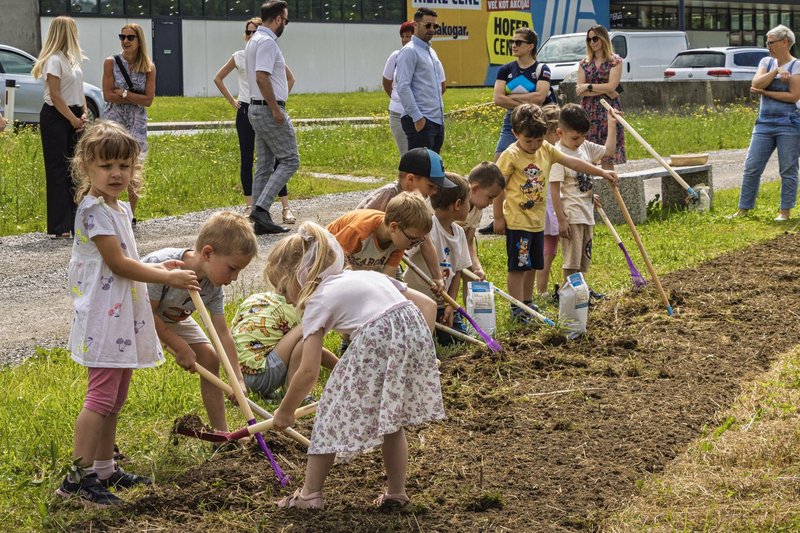 Slovenske železnice s projektom Sejemo sončno prihodnost povezujejo skupnosti in trajnostne vrednote