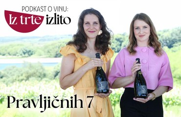 Sedem številk, dve ženski in vinska zgodba o kakovosti, tradiciji in izjemnih okusih
