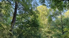 
                                                         Englischer Garten park
