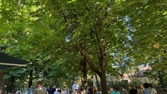 
                                                         Englischer Garten park pivo