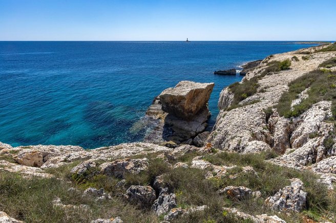 jadran jadransko morje morje temperature vreme vrocina sparina mlakuza zaskrbljenost tezave ekosistem biologi