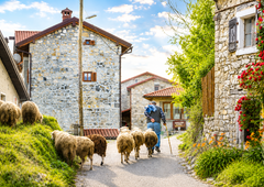 Večina jo spregleda, nekateri turisti pa trdijo, da je to najlepša vasica v Sloveniji!