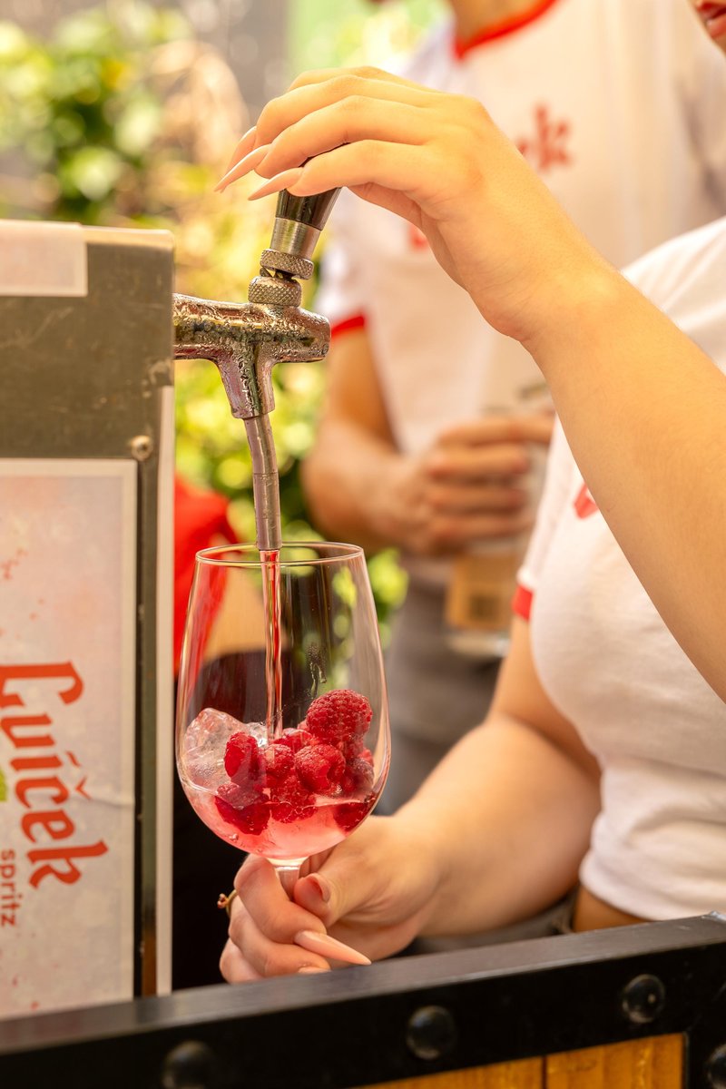 Cvicek Spritz Party