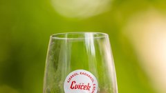 
                                                         Cvicek Spritz