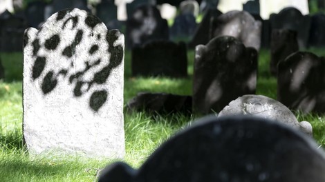 boston zdaj grob pokopalisce suzenj suzenjstvo svoboda smrt zgodba zgodovina preteklost odkritje najdba nagrobnik