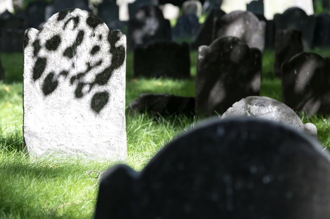 boston zdaj grob pokopalisce suzenj suzenjstvo svoboda smrt zgodba zgodovina preteklost odkritje najdba nagrobnik