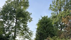 
                                                         Oaza miru v Ljubljani: skriti čajni kotiček, kjer si lahko končno malo oddahnemo od vročine in naglice