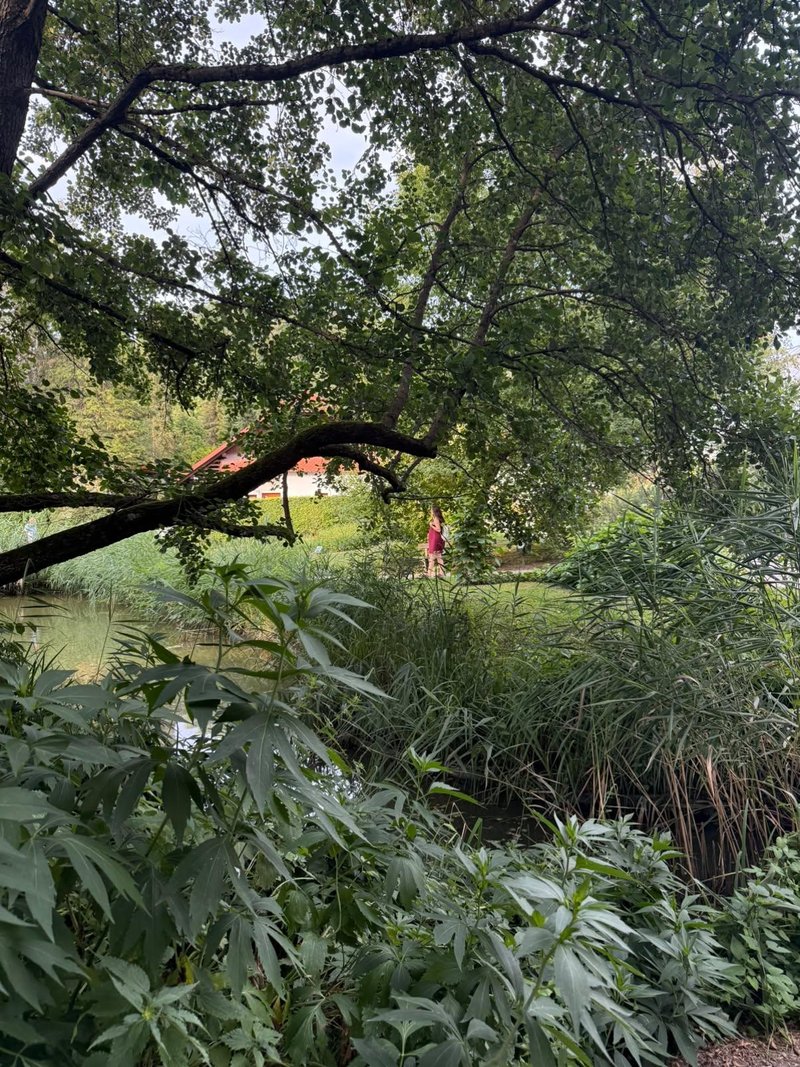 Botanicni vrt Ljubljana