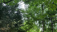
                                                         Botanicni vrt Ljubljana