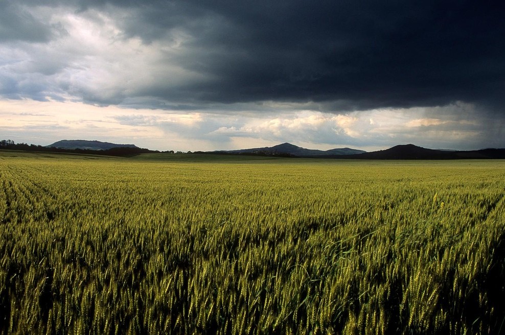 Kakšno vreme se nam obeta v prihajajoči jeseni? Dolgoročne napovedi kažejo velika odstopanja, pravijo vremenoslovci (foto: Profimedia)
