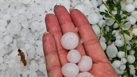 Slovenijo že zajelo neurje z močnim vetrom: ponekod je padala tudi toča (FOTO in VIDEO)