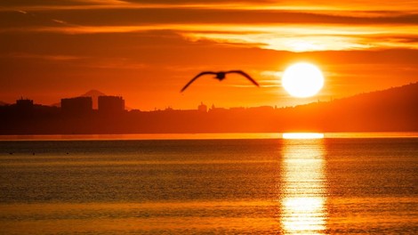 jadran jadransko morje temperature spremembe rekordi vrocina poletje hrvaska voda morje