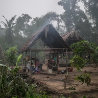 tsimane