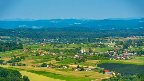 Dolenjska