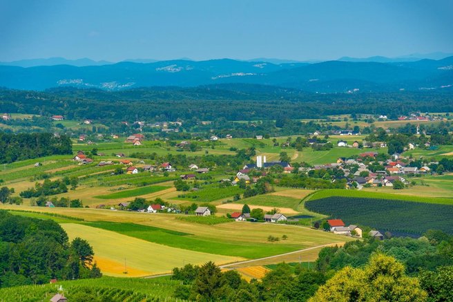 Dolenjska