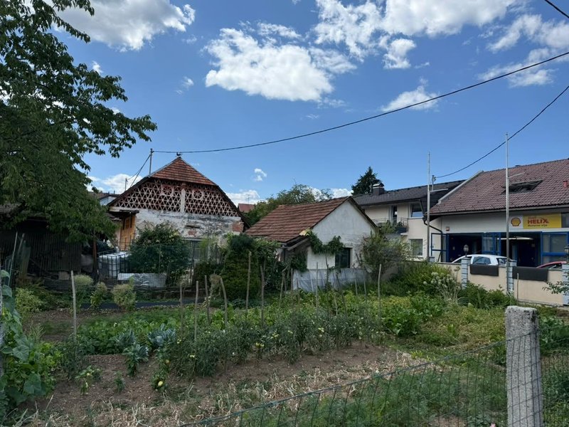 Dravlje domacija