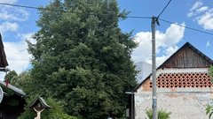 
                                                         Dravlje domacija