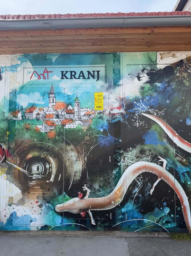 Kranj proteus Tular