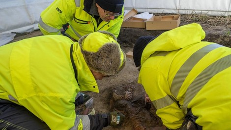 arheologi odkopovanje grobovi Vikingi Norveska