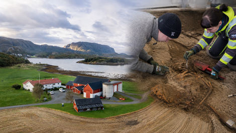 Norveska grob vikingi odkritje