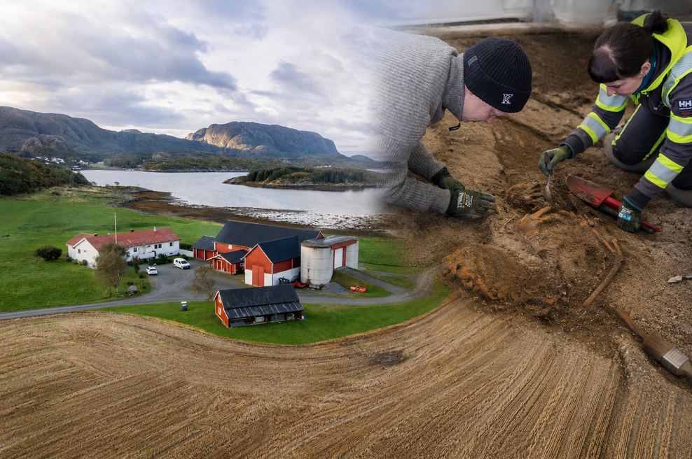 Na polju blizu kmetije je moški našel nenavaden predmet: ko ga je pobliže pogledal, je vedel, da v rokah drži nekaj izjemnega (foto: Profimedia/chat gpt/fotomontaža)