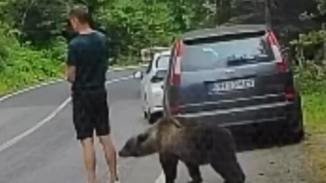Turist ni imel pojma, kaj se dogaja za njegovim hrbtom: od nikoder se je pojavil ... medved! (VIDEO)
