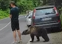 Turist ni imel pojma, kaj se dogaja za njegovim hrbtom: od nikoder se je pojavil ... medved! (VIDEO)