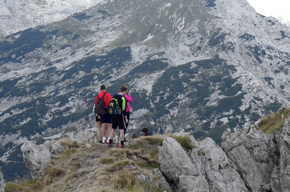 75-letnik se je med sprehajanjem po slovenskih gorah hotel prijeti za vejo, ko se je ta spremenila v nočno moro: takoj so poklicali reševalce (foto: Borut Presolja/Bobo)