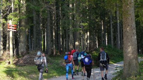 Blejska koča