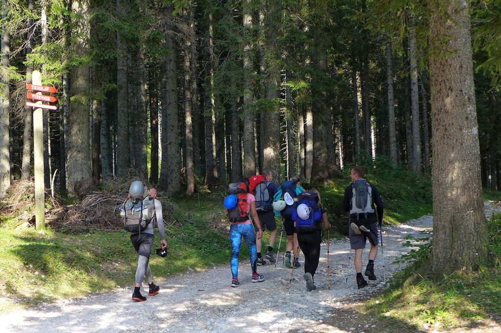 21-letna planinca napadli nevarni živali: enega so morali s helikopterjem prepeljati v bolnišnico (foto: Borut Persolja/Bobo)