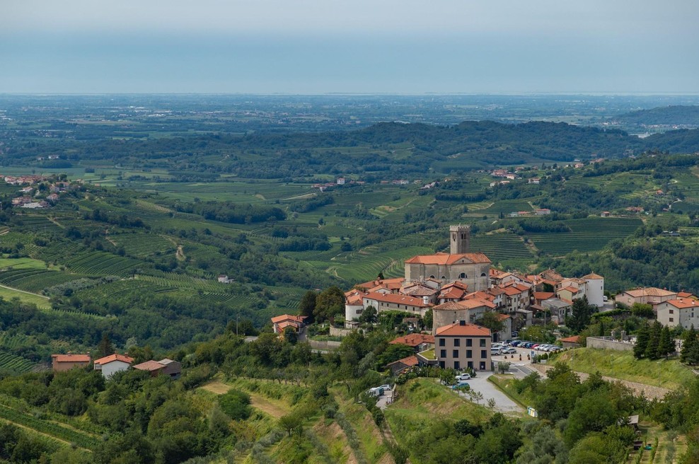 Turistični delavci si zadovoljno manejo roke: "slovenska Toskana" navdušuje turiste, največ povpraševanja je po eni stvari (foto: Profimedia)