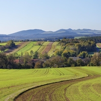 Avstrija polje