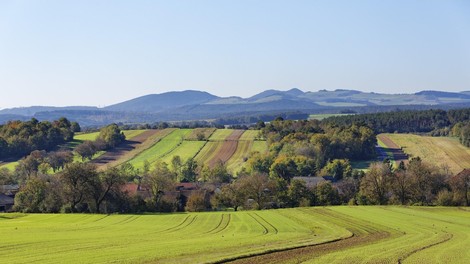 Avstrija polje