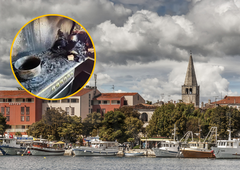 Nemški turisti najeli apartma v Poreču in ga povsem uničili: lastnik v šoku, posnetki so grozljivi