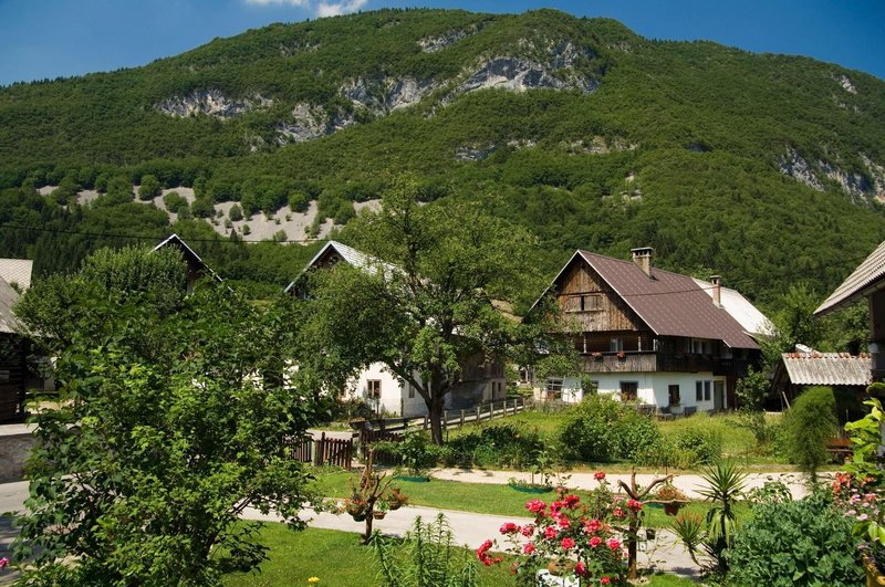 Bohinj hise