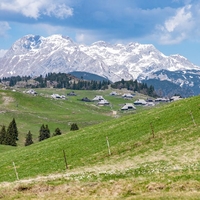 Velika planina
