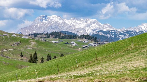 Velika planina