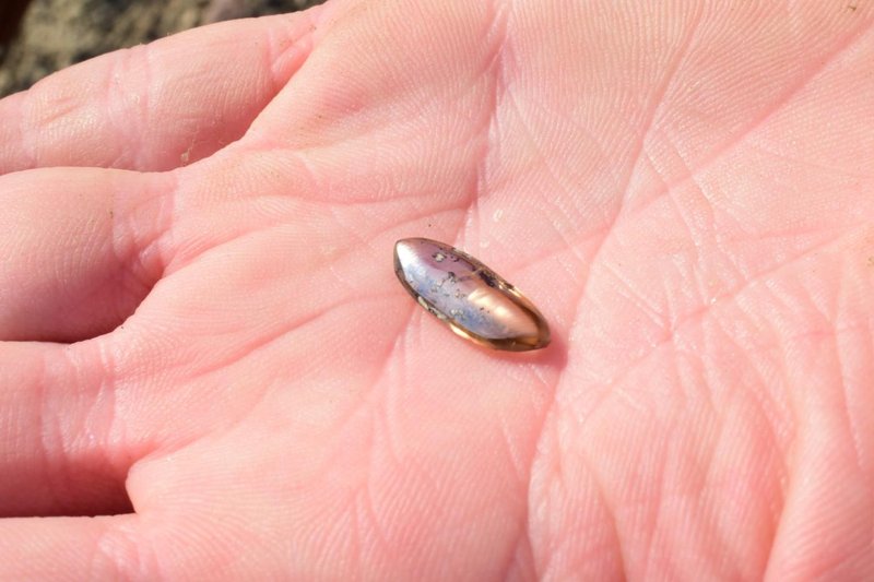cokoladni diamant najdba