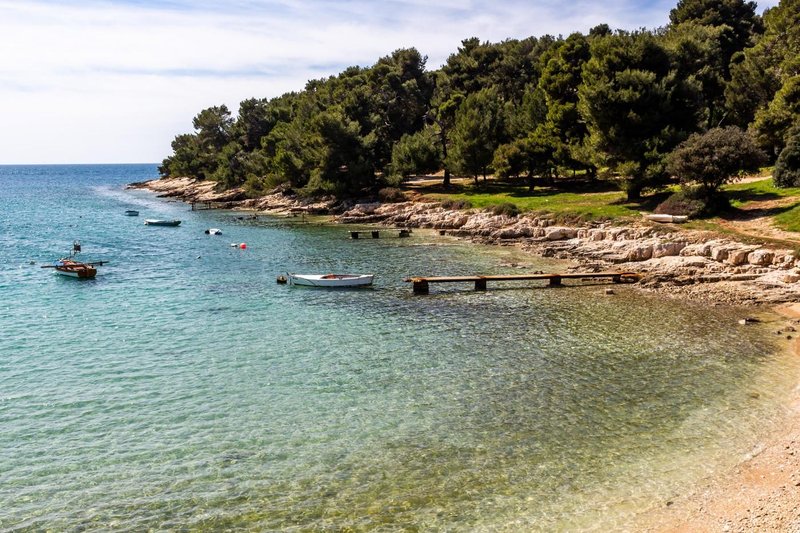 istra pulj jadran jadransko morje jajce na oko meduze invazija voda nenevarno pojasnilo stevilo hrvaska