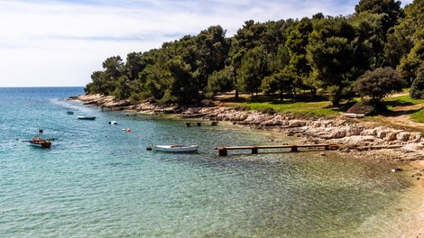 istra pulj jadran jadransko morje jajce na oko meduze invazija voda nenevarno pojasnilo stevilo hrvaska